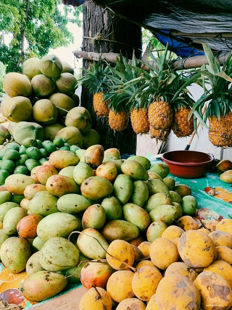 Ẩm thực đường phố Philippines hấp dẫn