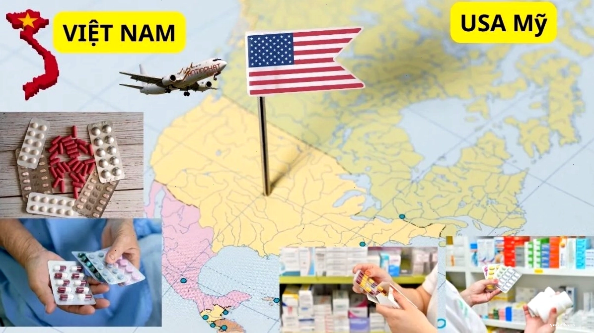 An Tín Phát cung cấp dịch vụ gửi hàng đi Mỹ trọn gói
