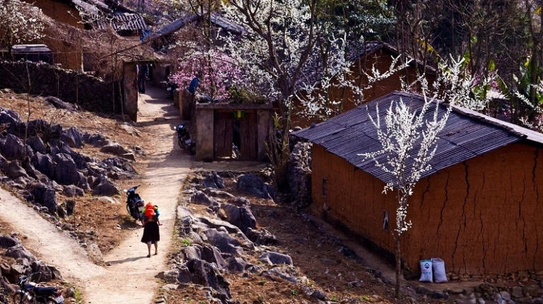 Ảnh du lịch Hà Giang đẹp nao lòng: Khám phá những tọa độ săn ảnh độc đáo