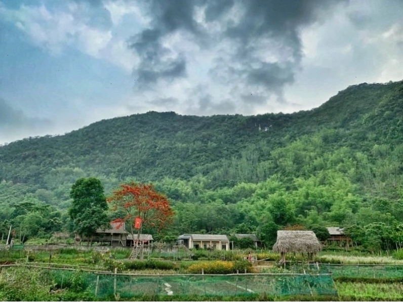 Ảnh ruộng bậc thang tuyệt đẹp tại Hòa Bình