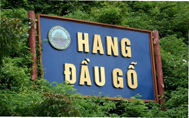 Ánh sáng huyền ảo bên trong các ngăn của Hang Đầu Gỗ