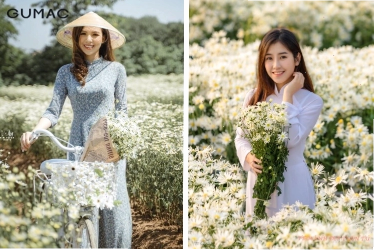 Áo dài trắng truyền thống khi chụp ảnh với cúc họa mi