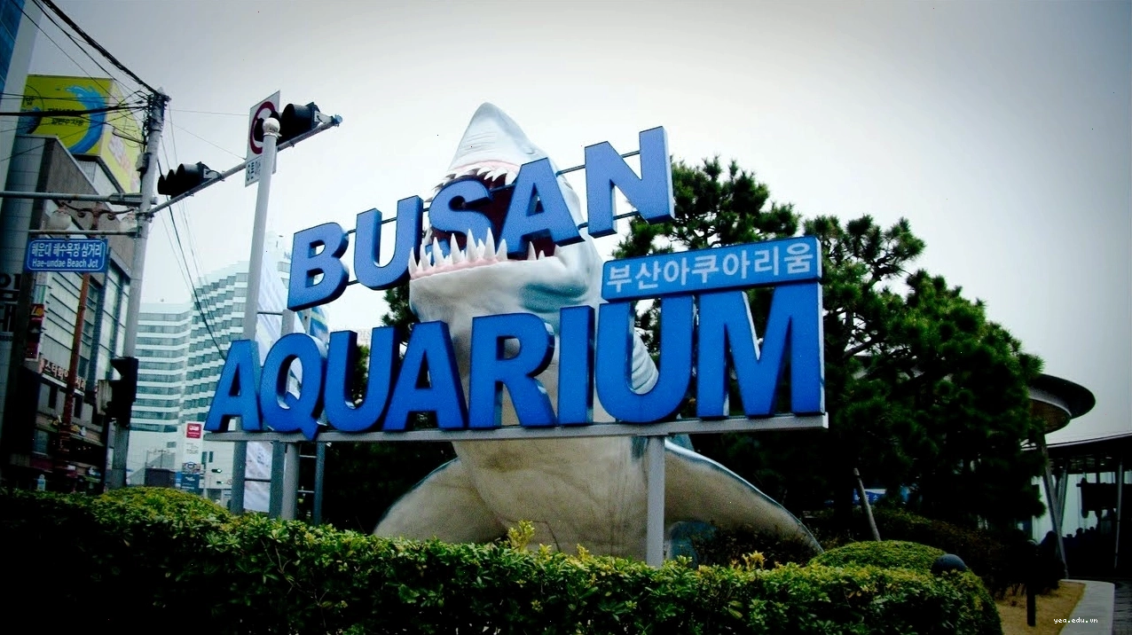 Bãi biển Haeundae với bờ cát trắng mịn và làn nước trong xanh