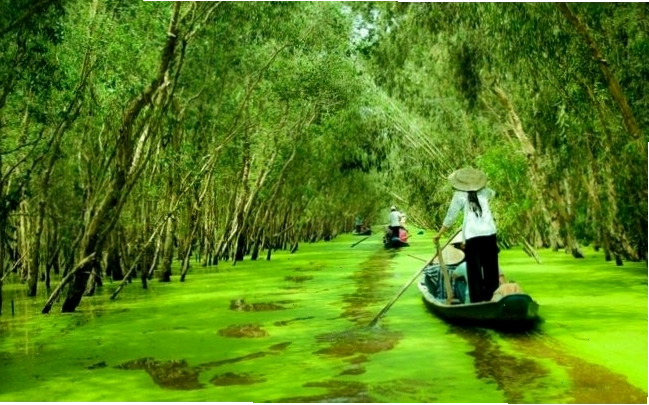 Bãi biển tuyệt đẹp ở Phú Quốc
