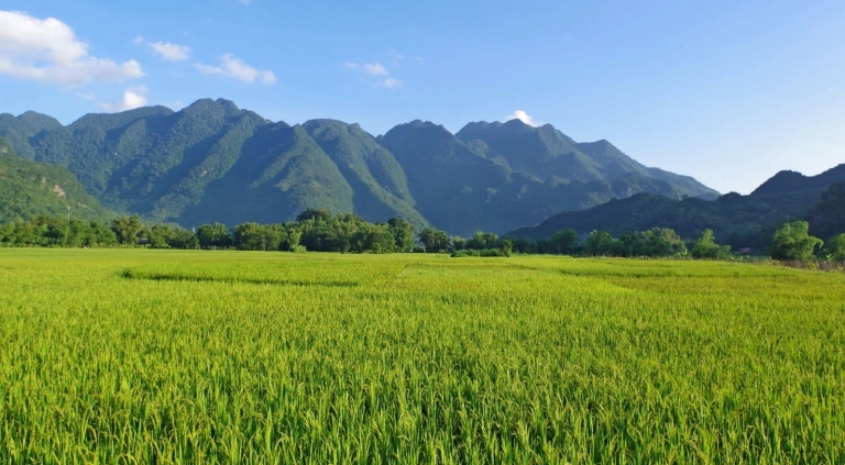 Bản Lác Mai Châu Hòa Bình có gì hấp dẫn du khách?