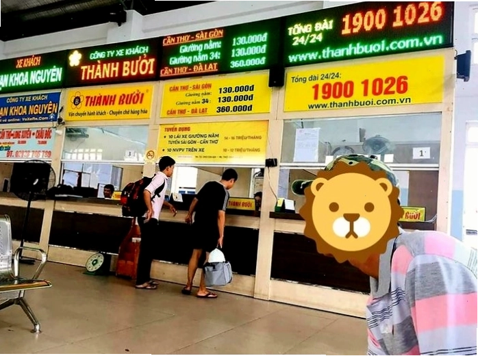 Bảng giá vé xe Thành Bưởi tham khảo