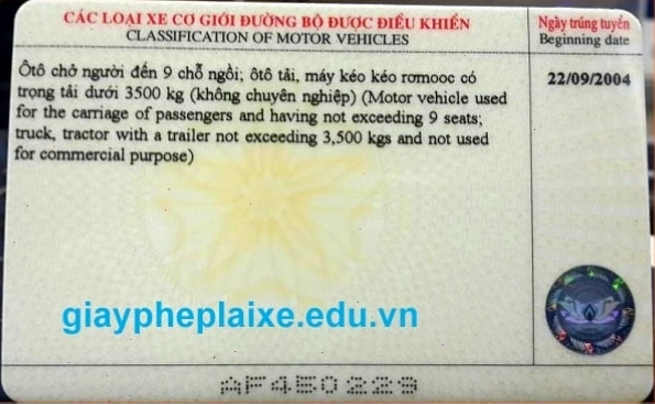 Bằng lái B1 và B2 khác nhau như thế nào về mặt quy định