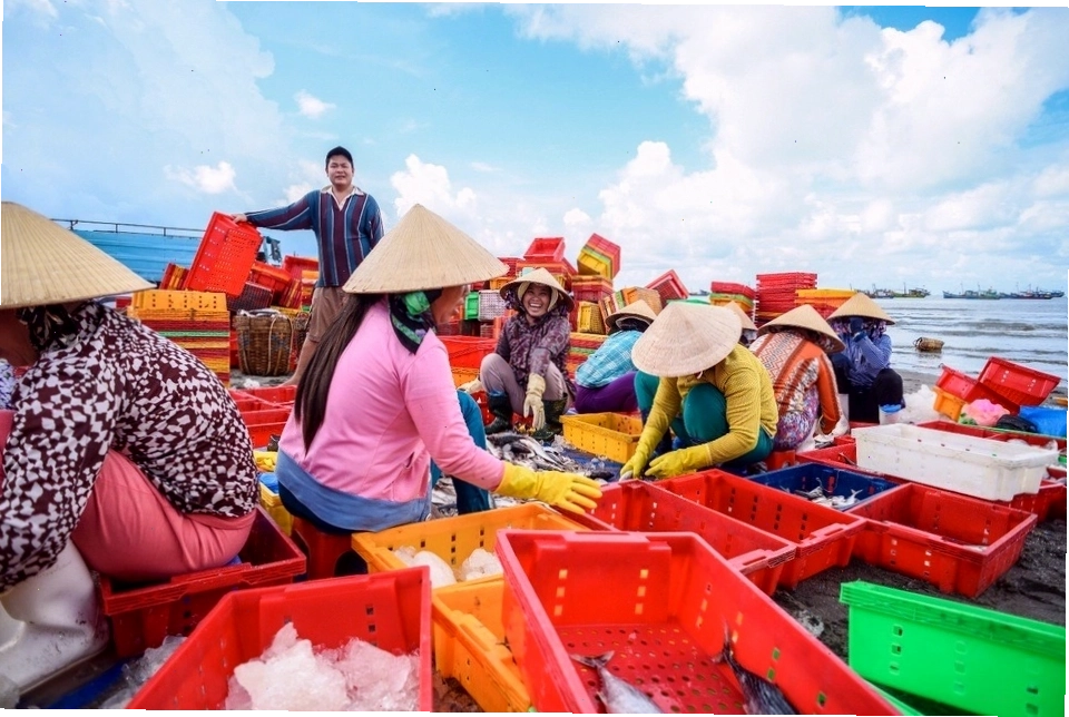 Bánh bèo chén hấp dẫn – đặc sản không thể bỏ lỡ khi đến Phước Tỉnh