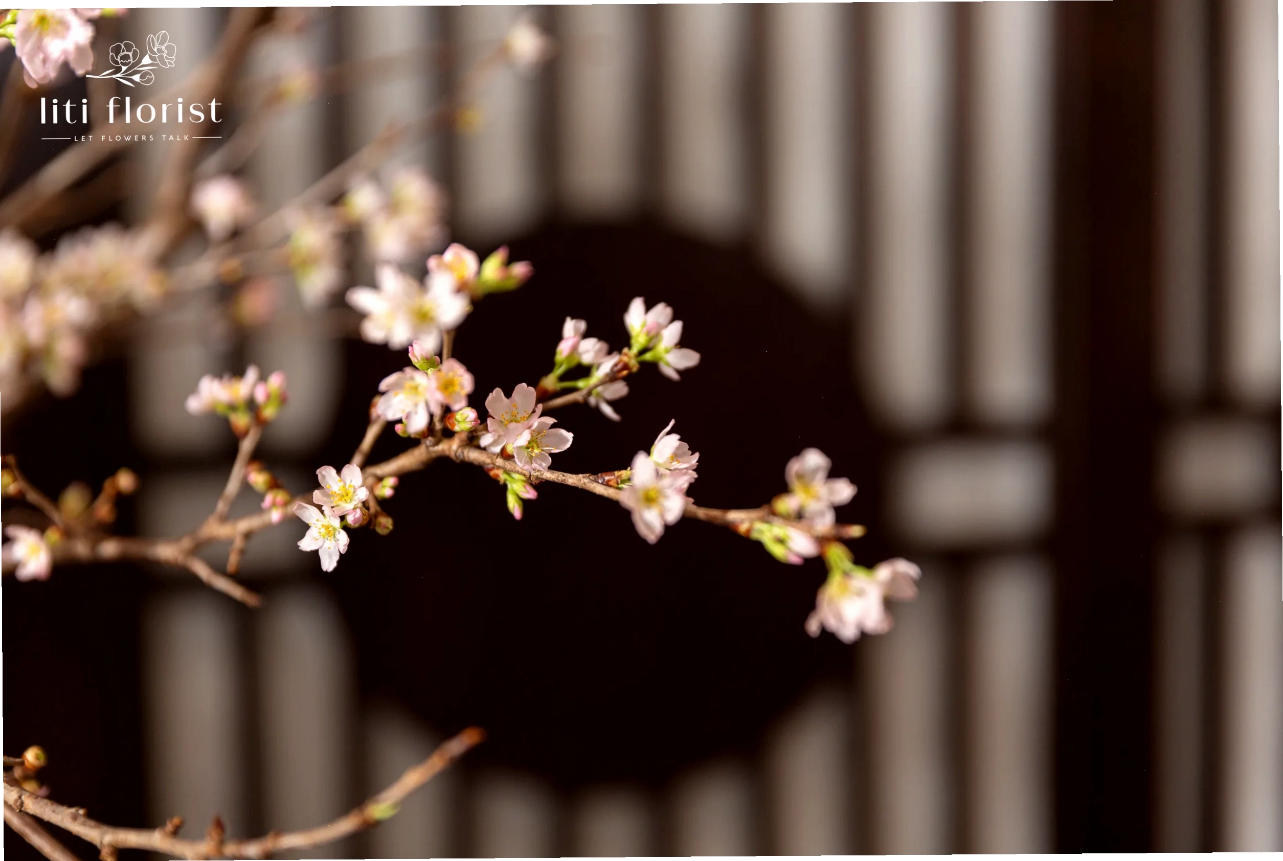 Bánh ngọt trang trí hình hoa anh đào sakura