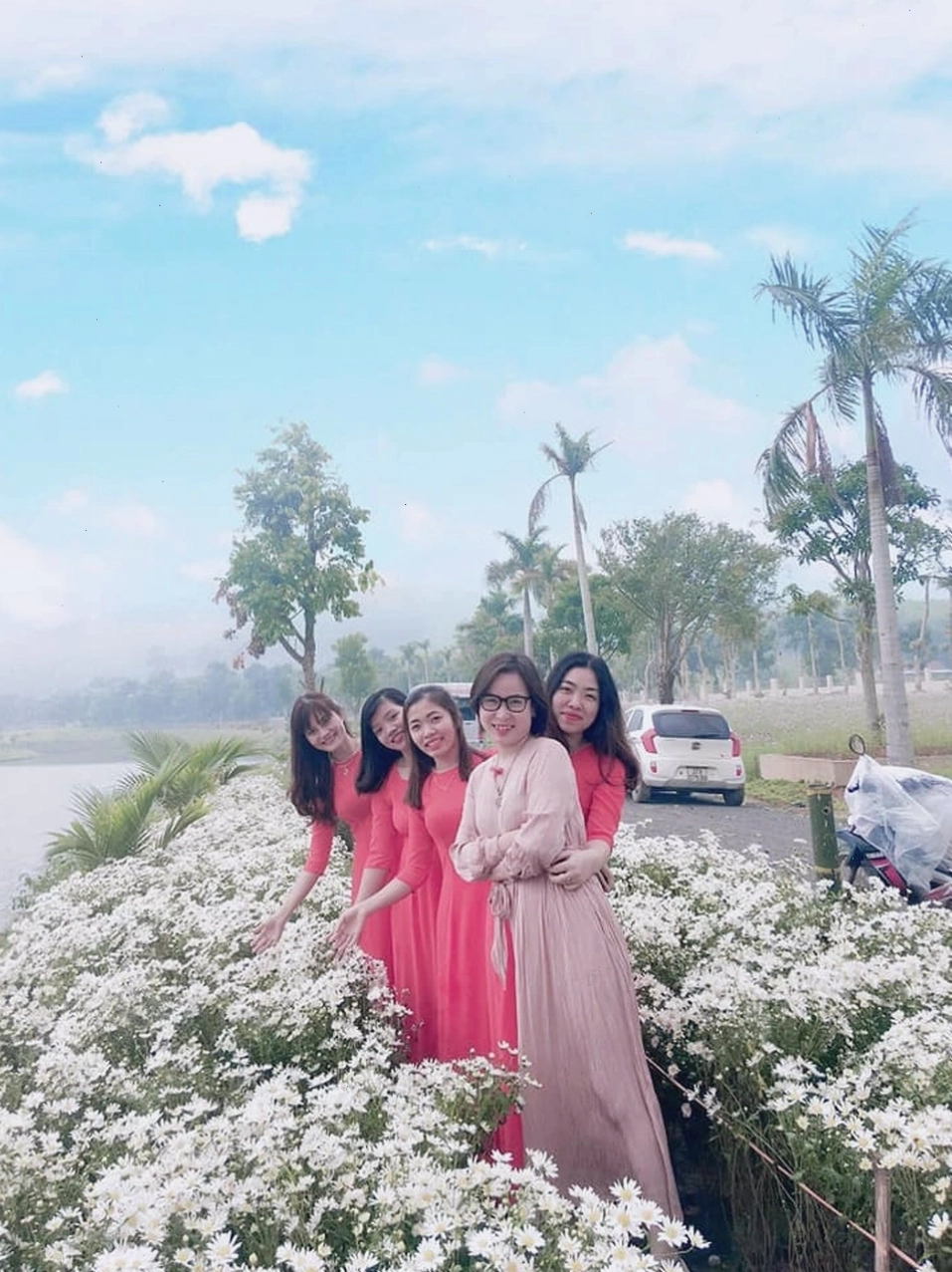 Bạt ngàn chong chóng trên đồi gió tại Thung lũng hoa Phủ Quỳ