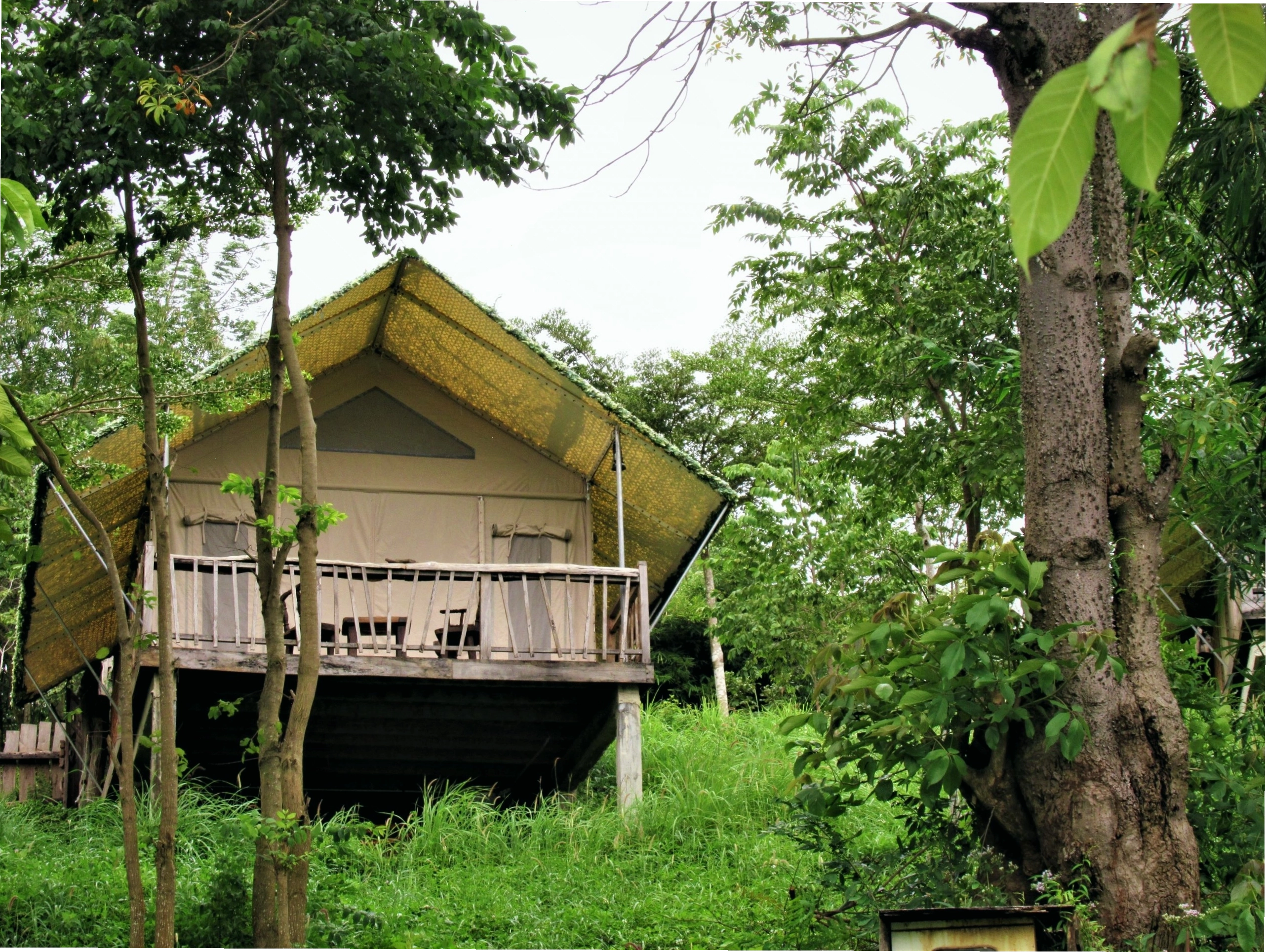 Bên trong một căn lều safari tại Lak Tented Camp với nội thất gỗ ấm cúng