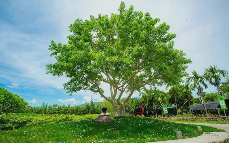 Bên trong nhà sàn tại An Lạc Eco Farm & Hot Springs