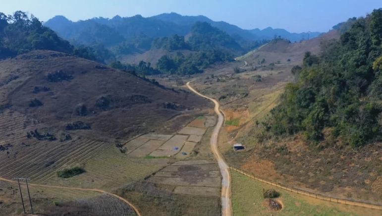 Biển hoa cải trắng tinh khôi tại Bản Pa Phách Mộc Châu