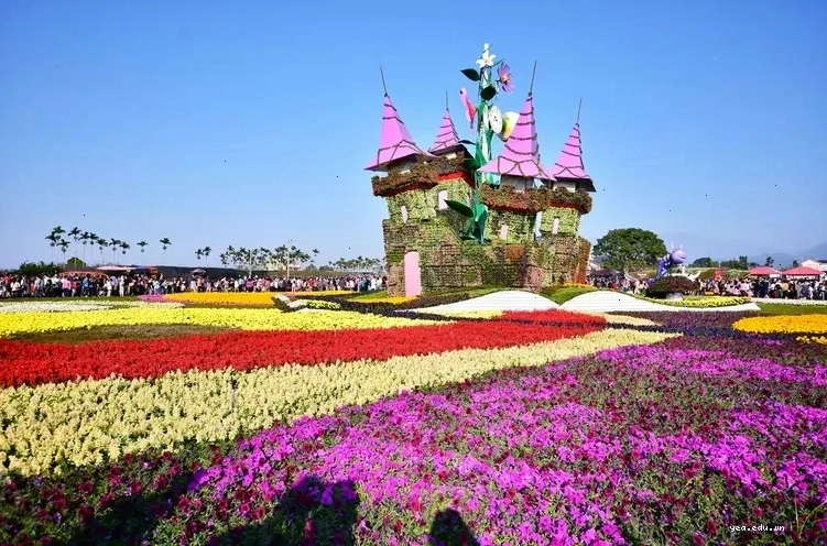 Biển hoa Xinshe rực rỡ với đa dạng các loài hoa khoe sắc