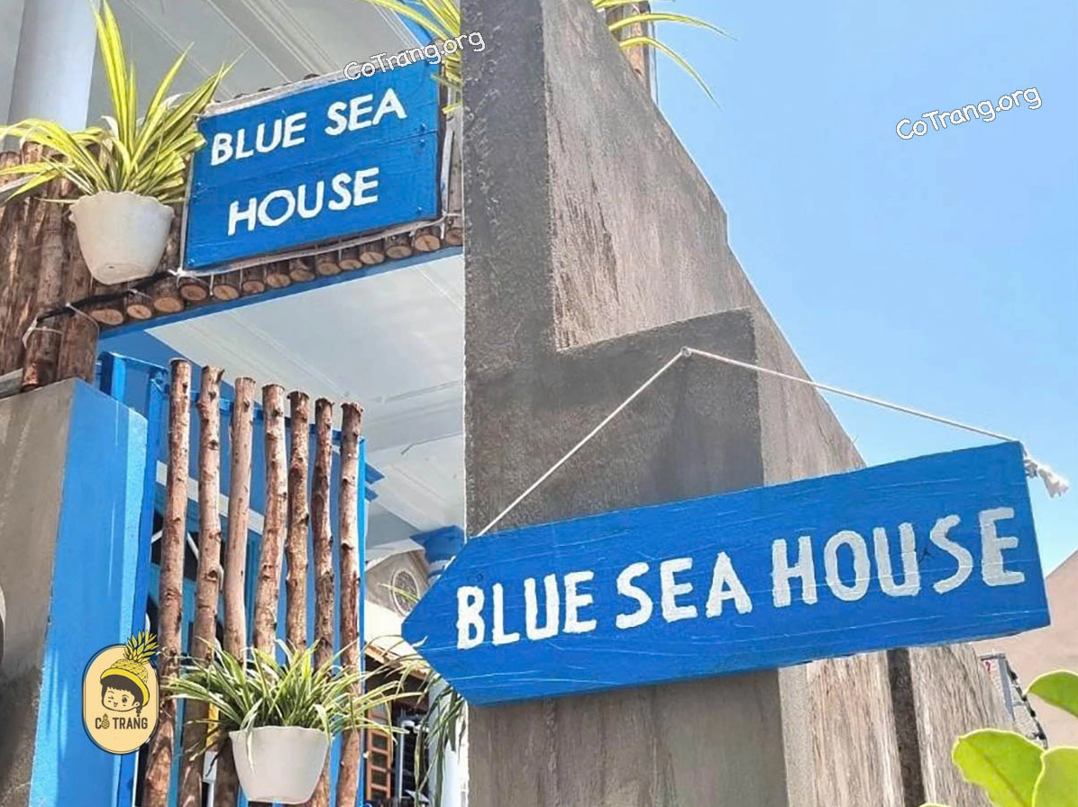 Blue Sea Quảng Bình: Khám phá thiên đường biển xanh và những trải nghiệm độc đáo