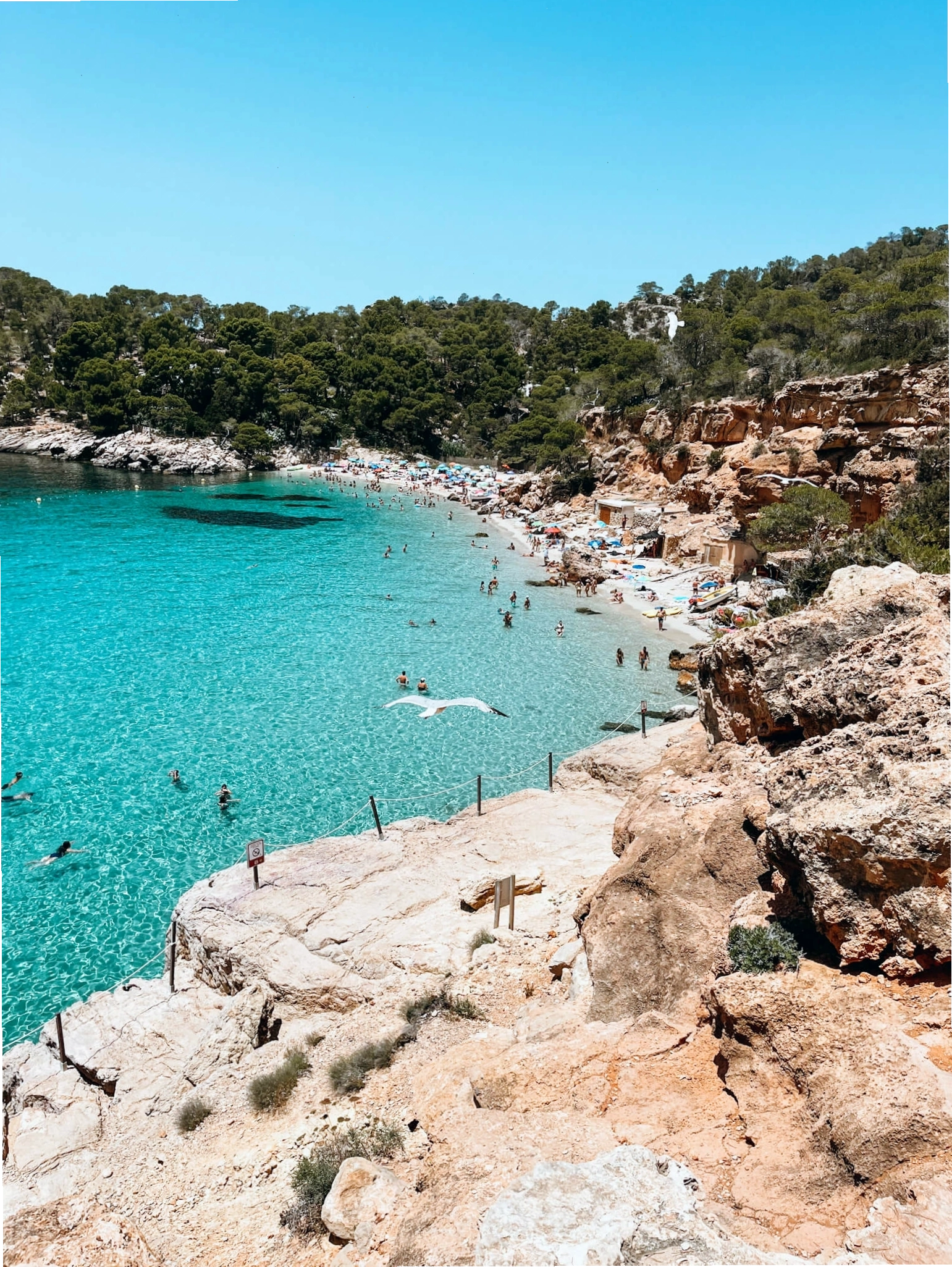 Bờ biển cát trắng trải dài tại Ibiza nhìn từ trên cao