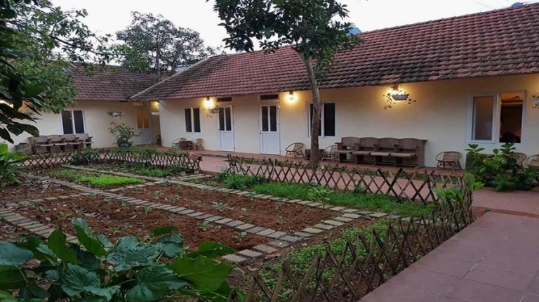 Bơ House Mộc Châu Khám Phá Chốn Dừng Chân Mộc Mạc Giữa Cao Nguyên