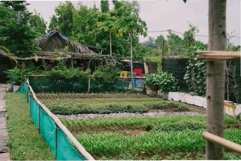 Bữa cơm dân dã với các sản phẩm tươi ngon tại 5Ku Farm