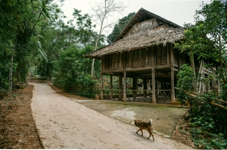 Bữa tối lãng mạn bên thác nước tại Avana Retreat