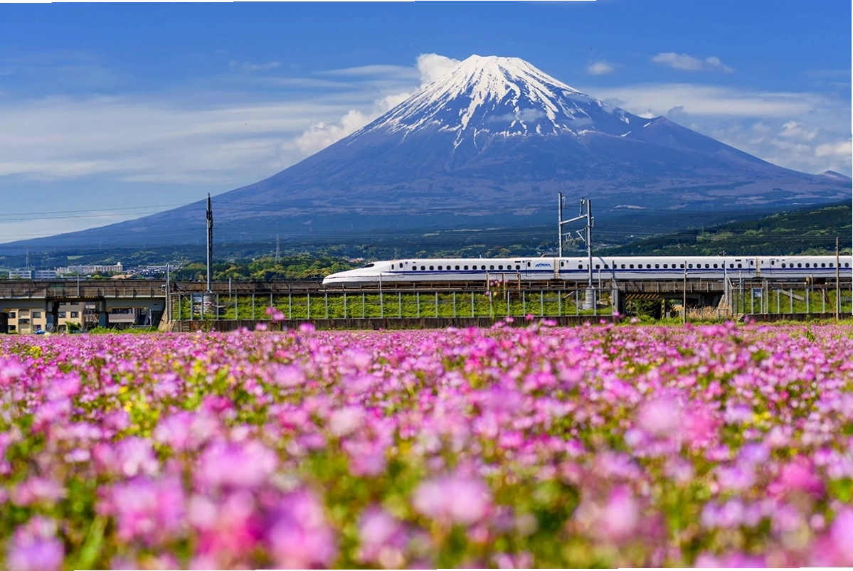 bullet train la gi