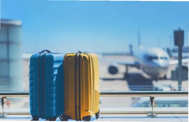 Các bước mua thêm hành lý ký gửi Vietnam Airlines