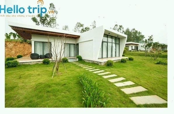 Các loài động vật hoang dã tại vườn thú Safari Mường Thanh Diễn Lâm