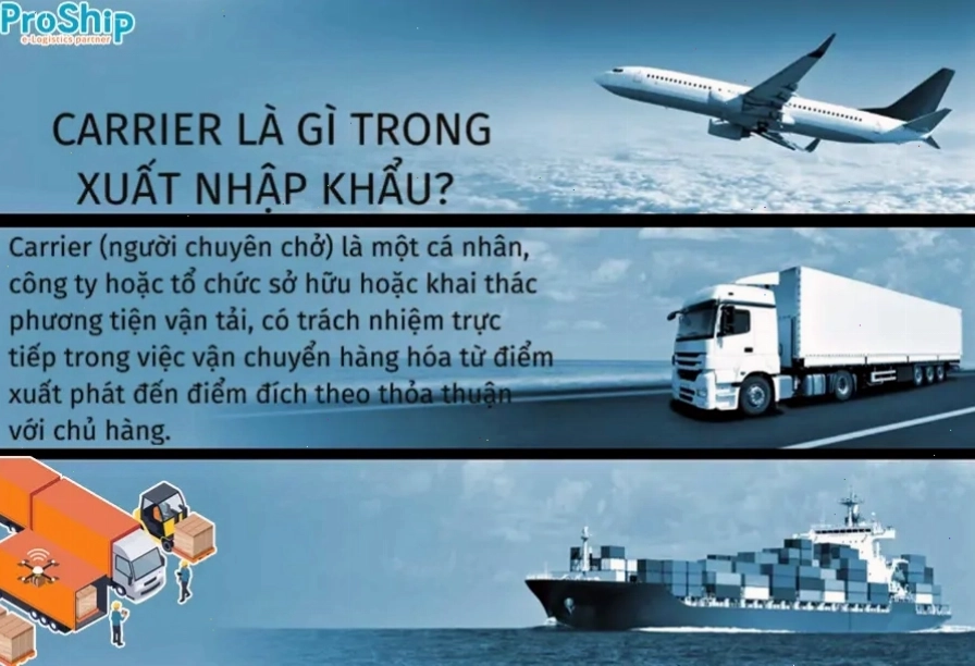 Các loại hình Carrier phổ biến trong ngành vận tải