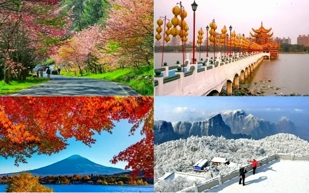 Các món ăn hấp dẫn tại chợ đêm Đài Loan