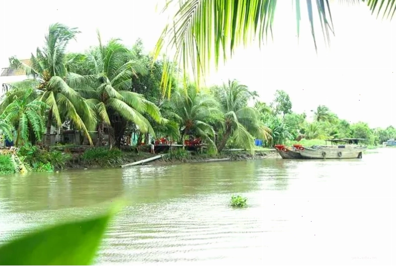 Các món ăn hấp dẫn tại nhà hàng Dìn Ký Lái Thiêu