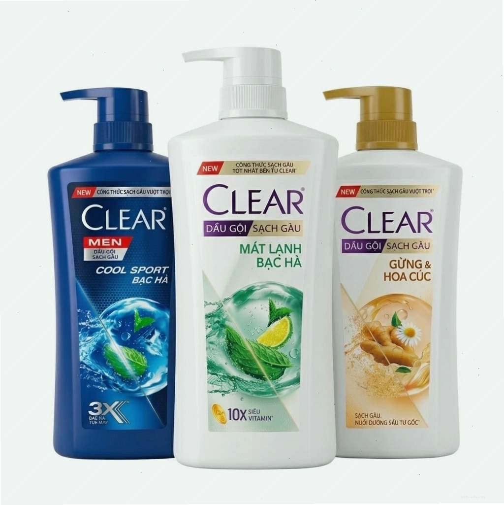 Các sản phẩm chế biến từ sâm Nam núi Dành