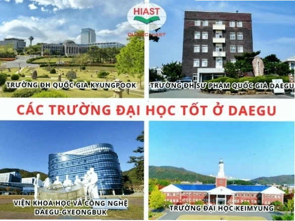 Các trường đại học ở Daegu