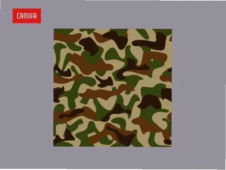 Camouflage đã trở thành biểu tượng thời trang thể hiện sự mạnh mẽ