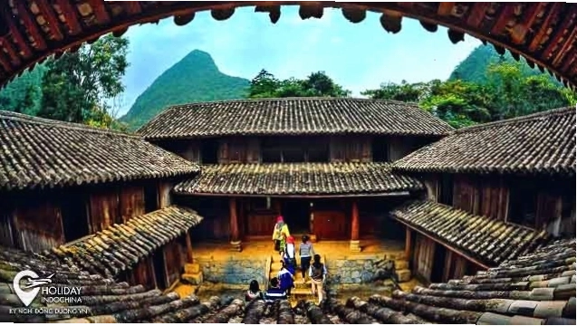 Cận cảnh bông hoa cải vàng