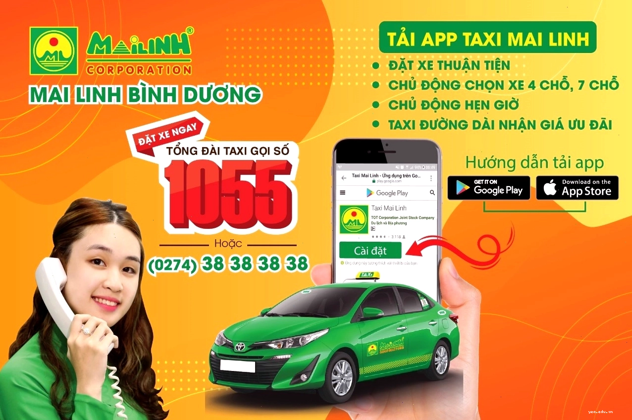 Cận cảnh logo thương hiệu Mai Linh trên xe taxi