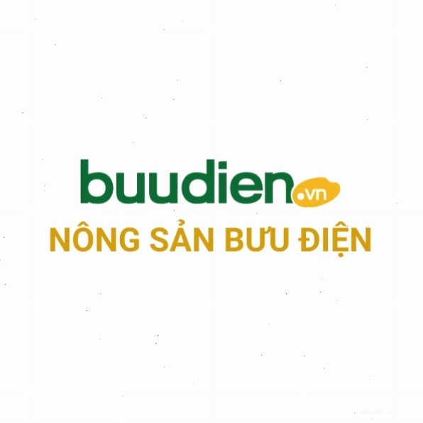 Cận cảnh những trái cam Cao Phong chín mọng