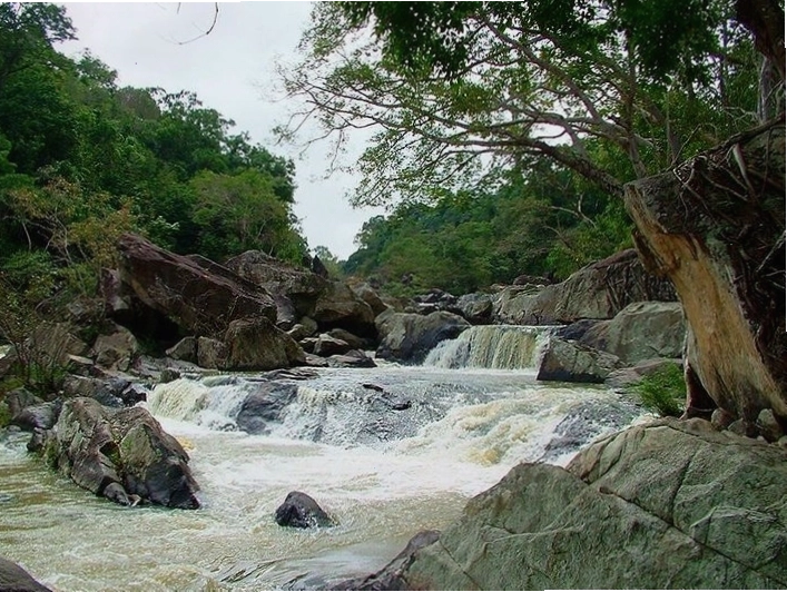 Cận cảnh Voi tại Bản Đôn