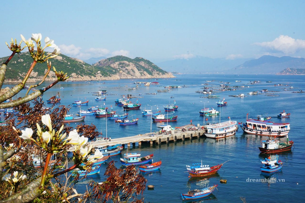 Cảng Ba Ngòi Cam Ranh: Tuyến Giao Thông Trọng Điểm Và Điểm Đến Đảo Bình Ba