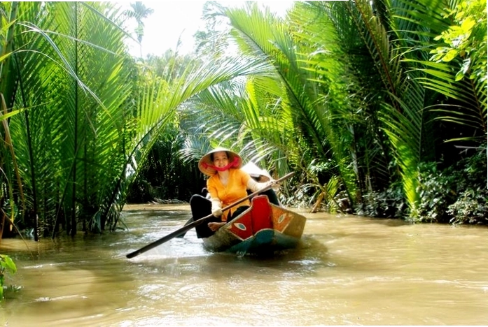 Cảnh đàn cò trắng bay lượn trên cánh đồng lúa vào buổi chiều