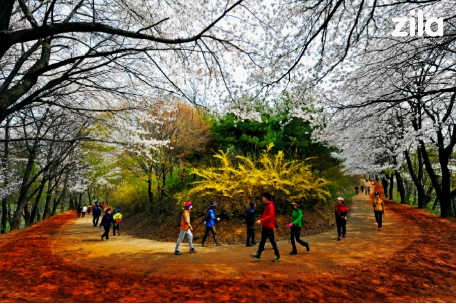 Cảnh đêm lung linh tại Daejeon