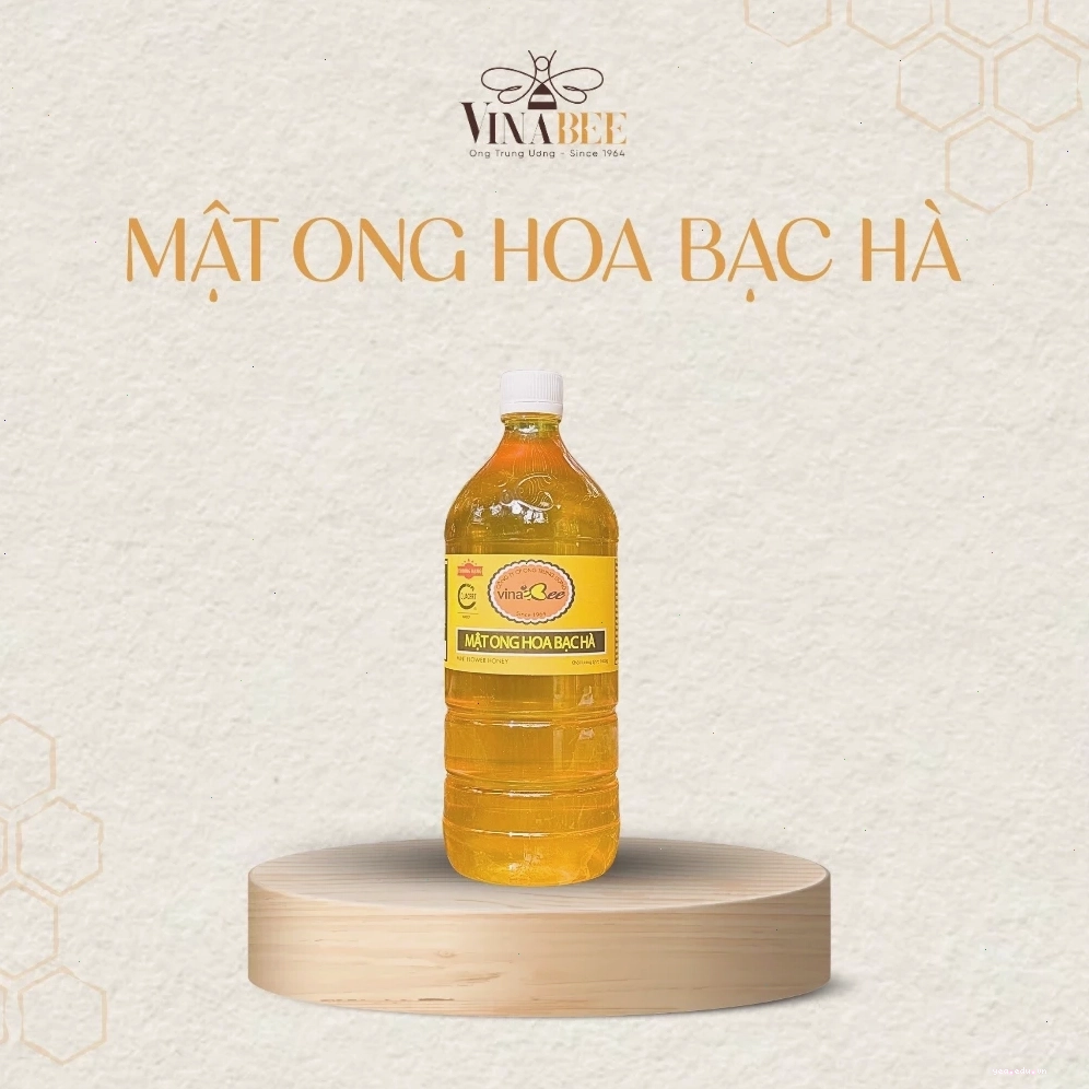 Cánh đồng hoa bạc hà tím ngắt trải dài trên sườn núi đá Hà Giang vào mùa hoa nở