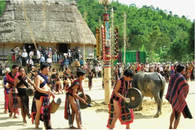 Cánh đồng hoa cà phê trắng tinh khôi tại Pleiku