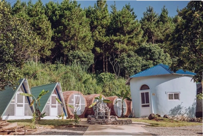 Cánh đồng hoa cải trắng Mộc Châu