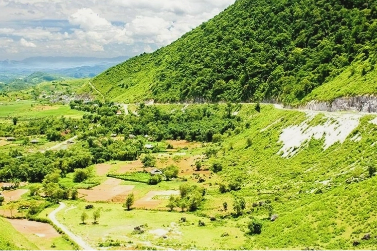 Cánh đồng hoa mận trắng tinh khôi tại Mai Châu vào mùa đông