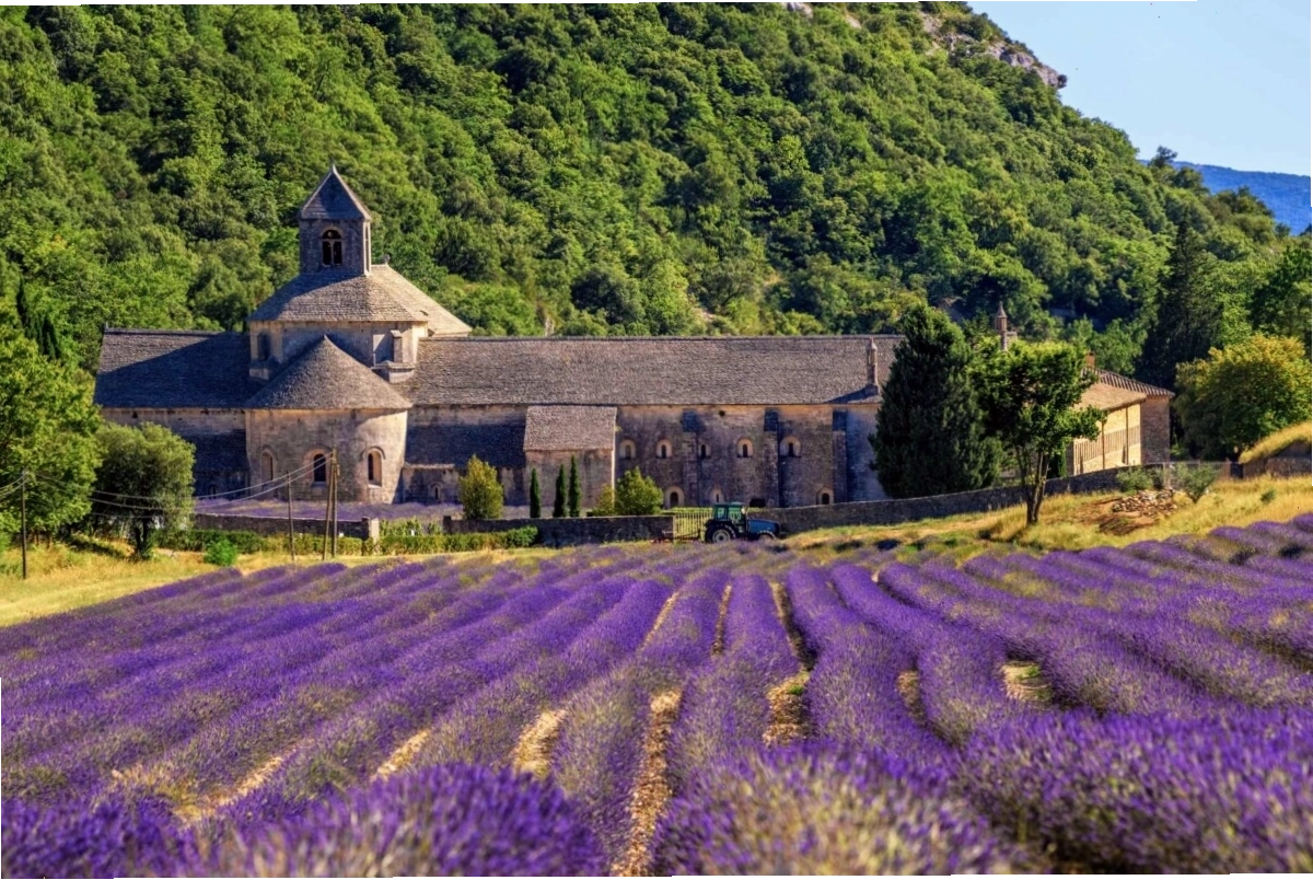 Cánh đồng hoa oải hương Luberon thơ mộng với những ngôi làng cổ kính phía xa