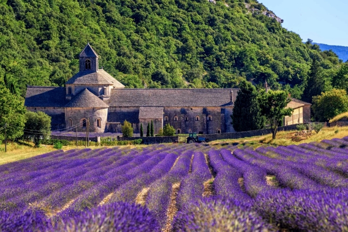 Cánh đồng hoa oải hương Luberon với ngôi làng cổ kính phía xa