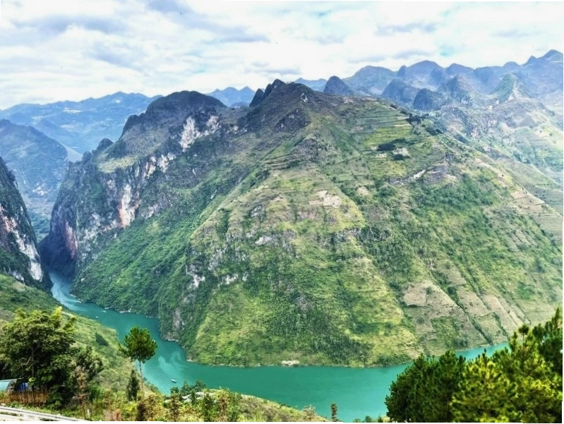 Cánh đồng hoa tam giác mạch rực rỡ tại Hà Giang