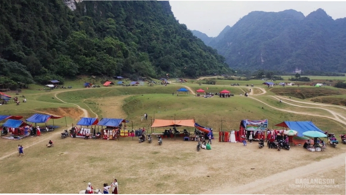 Cánh đồng lúa vàng ươm tại Yên Thịnh
