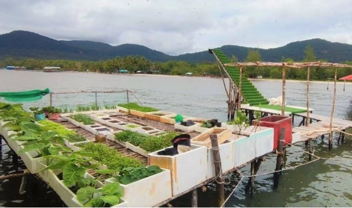 Cánh đồng lúa xanh mướt trải dài, hình ảnh quen thuộc của sông nước miền tây