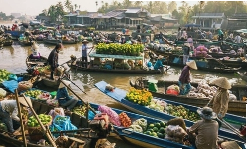 Cánh đồng lúa xanh mướt trải dài ở miền Tây