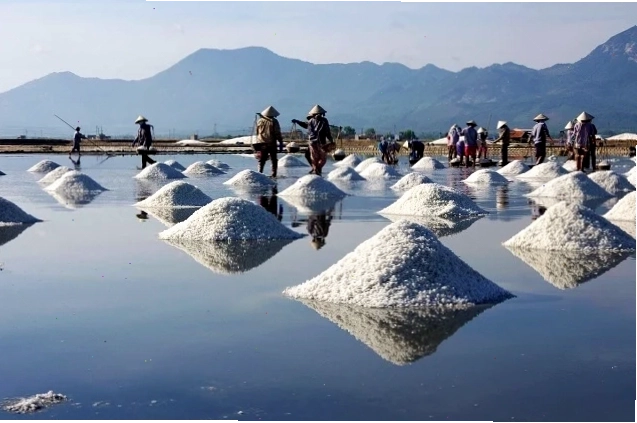 Cánh đồng muối rộng lớn gần biển Giao Ninh